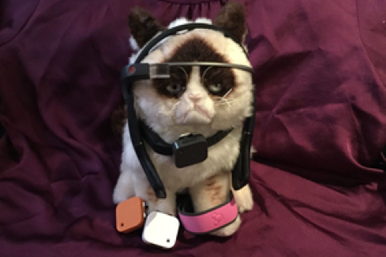 Wearable Technology - SXSW Grumpy Cat